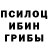 Галлюциногенные грибы Magic Shrooms I'm TheMaryPaw