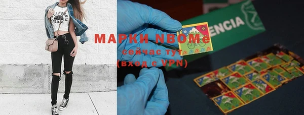 гидра Аркадак