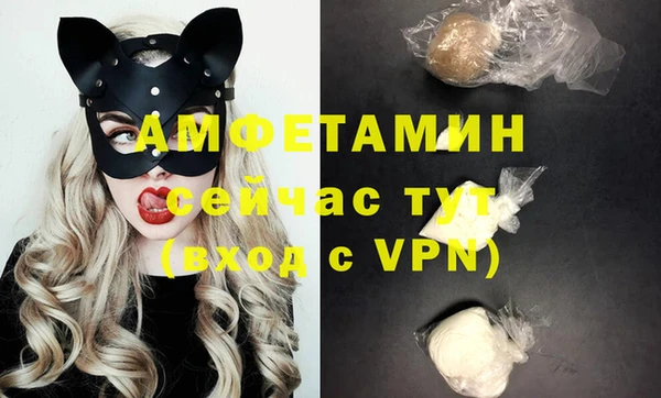 гидра Аркадак