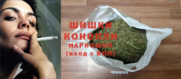 гидра Аркадак
