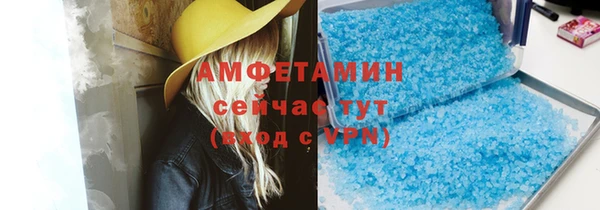 гидра Аркадак